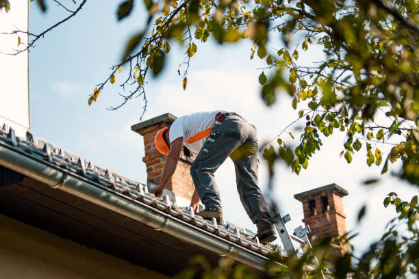 Best Roof Gutter Cleaning  in Middleton, WI